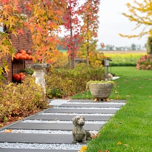 Ландшафтный дизайн (террасы, дорожки, бассейн)